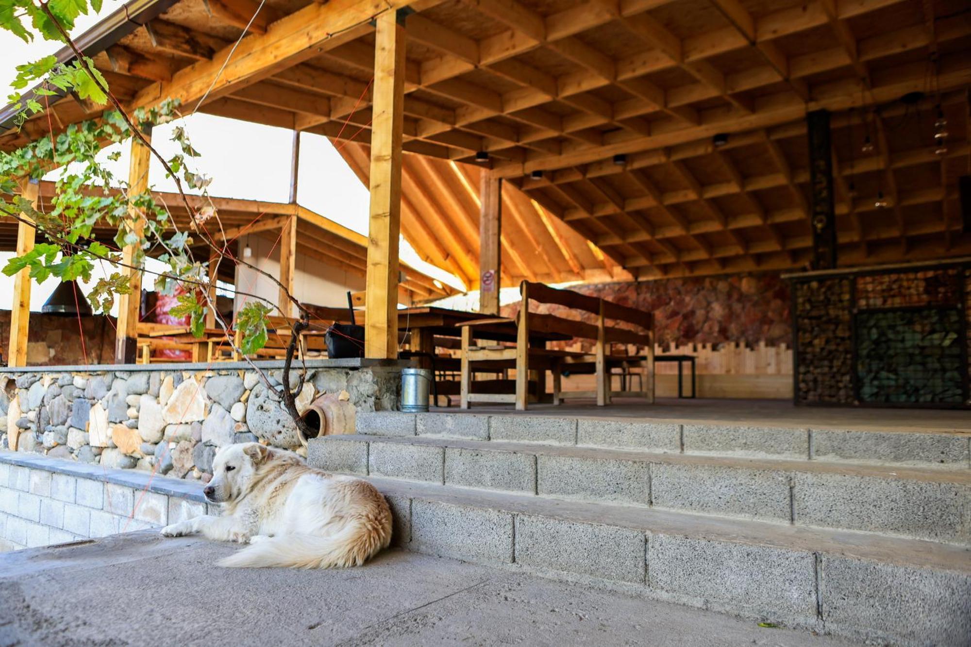 Bed and Breakfast Areni Wine Art Exterior foto